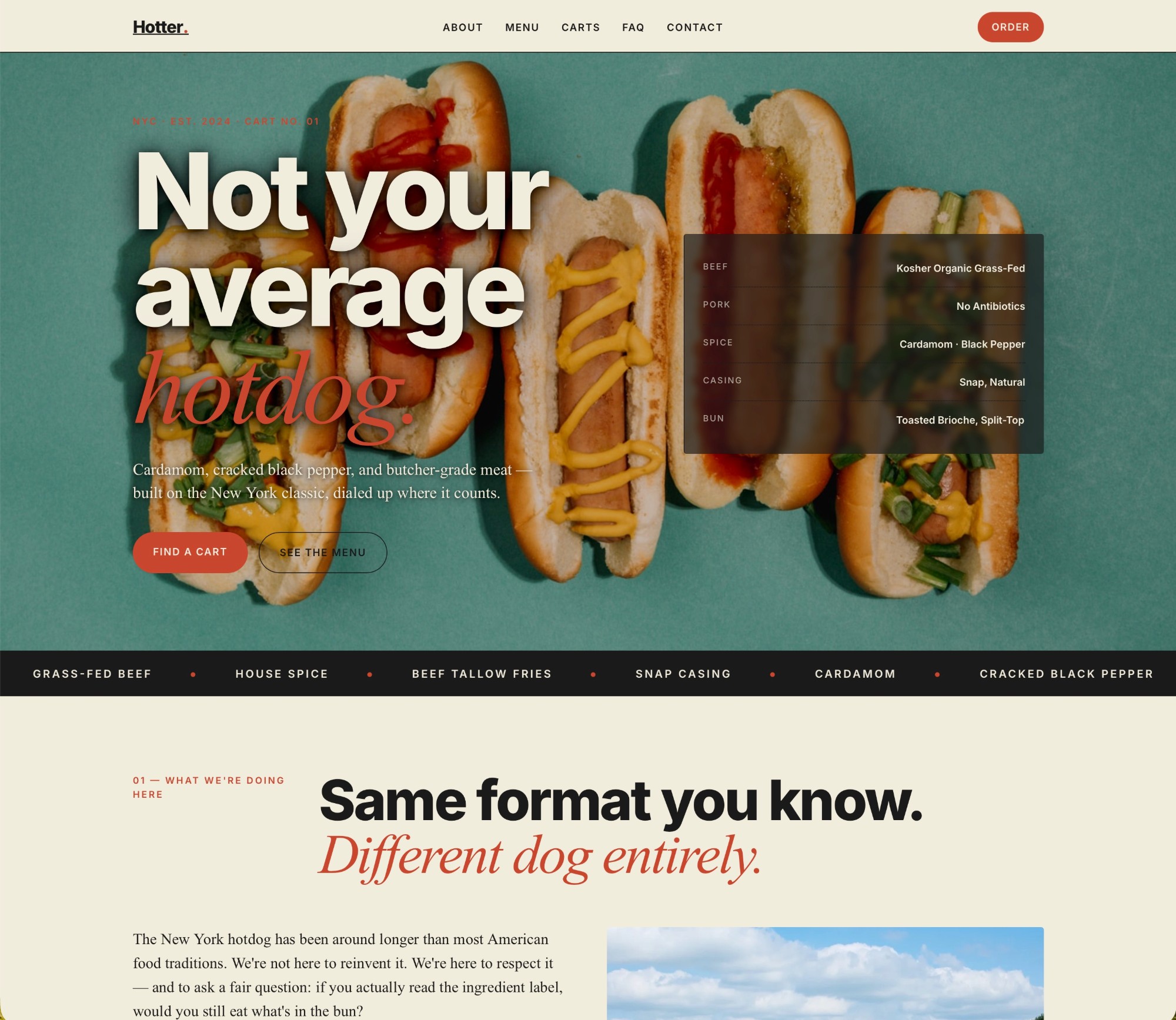 The Hotter website homepage we built: the 'Not your average hotdog' hero with the ingredient spec panel.