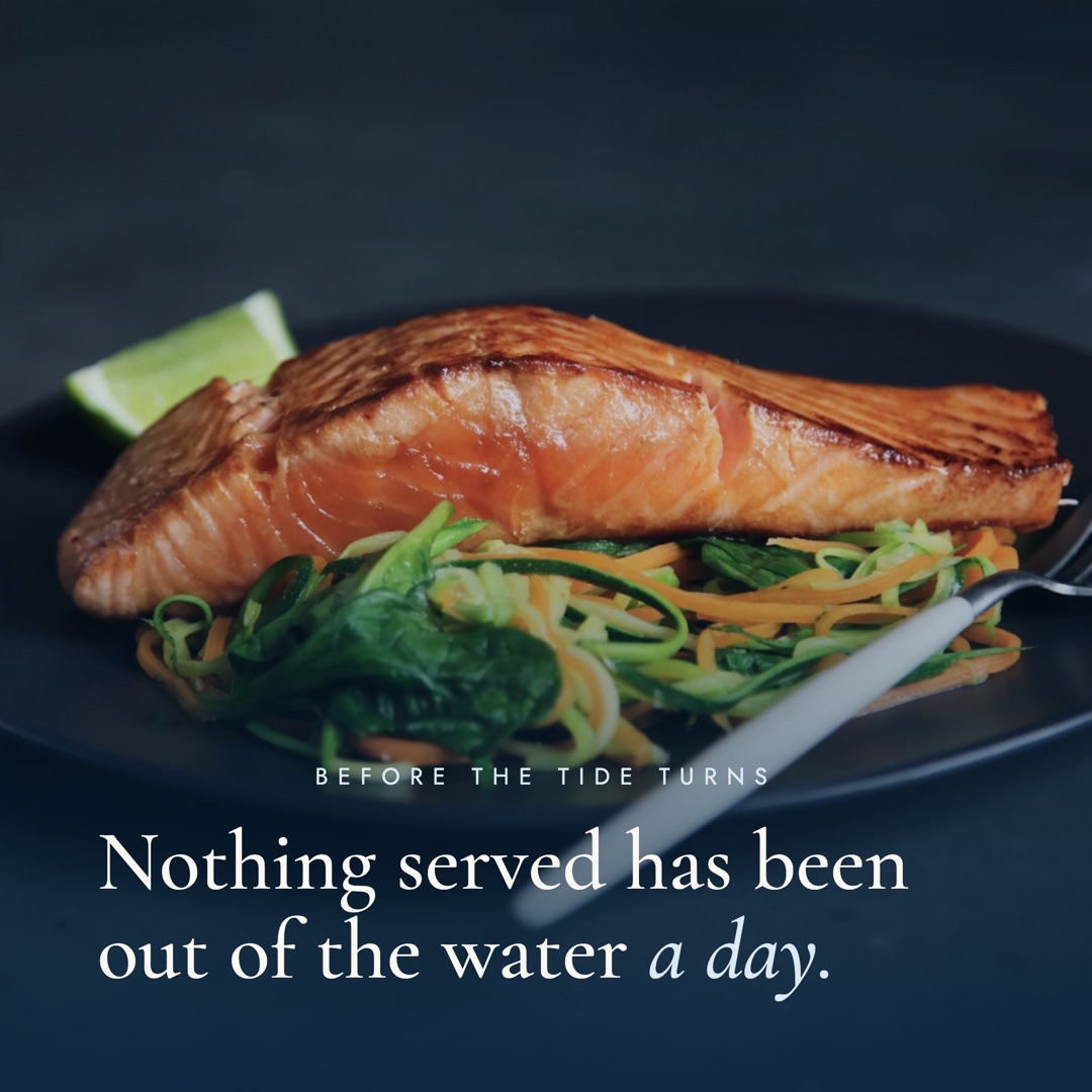 Marée carousel card over a photo of a plated fillet, reading Nothing served has been out of the water a day