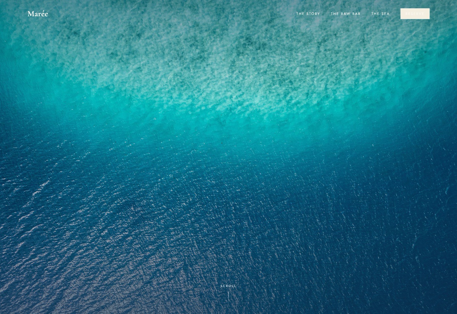 Marée website home, designed and built by Kabja Concepts